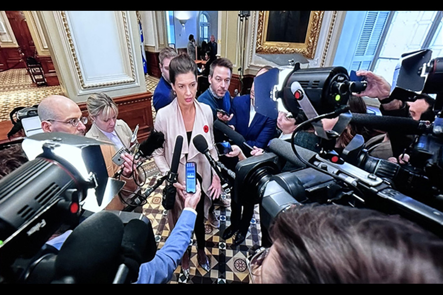 Fiilex P180S ENG On-Camera Light